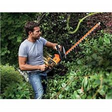 Tagliasiepi batteria litio usato Tagliasiepi batteria litio usato  Italia