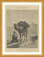 Betender araber islam gebraucht kaufen  Grabenstätt