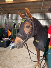 Pony show hood for sale  LEVEN