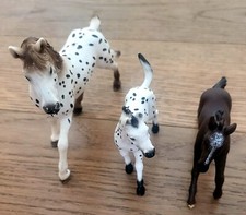 Schleich knabstrupper fohlen gebraucht kaufen  Hannover