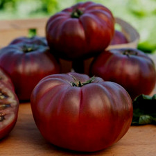 Tomatensamen ukrainische sorte gebraucht kaufen Tomatensamen ukrainische sorte gebraucht kaufen  Beilngries