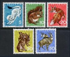 Suíça: 1966 Semipostais de Animais Florestais (B360-B364) MNH comprar usado  Enviando para Brazil