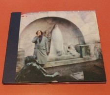 John frusciante the usato  Torino