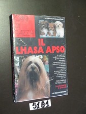 Olivier lhasa apso usato Olivier lhasa apso usato  Italia
