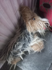 Vintage yorkshire terrier for sale  BLACKPOOL