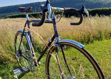Mercian vincitore special for sale  TROWBRIDGE