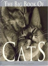 Big book cats for sale  UK
