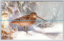 R763045 common snipe for sale  WARLINGHAM