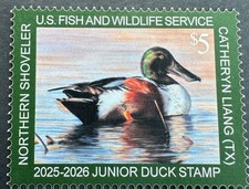 #JDS33 2025 - 2026 Selo Júnior de Pato - Pá do Norte - MNH (após 30 de junho) comprar usado  Enviando para Brazil