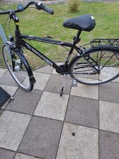 Curtis city bike gebraucht kaufen  Recke