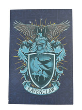 Harry potter ravenclaw gebraucht kaufen  Norderstedt