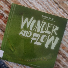 Wonder flow marie for sale  Caro