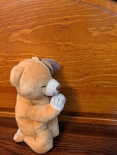 Hope praying bear for sale  Akron