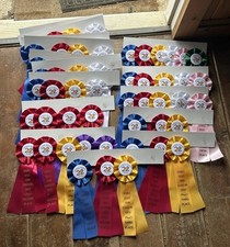 Brand new horse for sale  Painesville