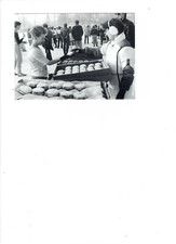 krapfen gebraucht kaufen krapfen gebraucht kaufen Berlin
