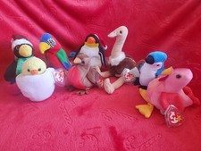 Beanies babies penguin for sale  Weedsport