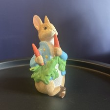 Peter rabbit radishes for sale  UK