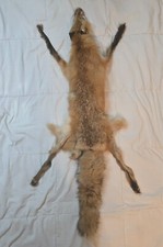 Tanned mink red for sale  Laie