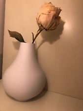 vaso classico usato vaso classico usato Biella
