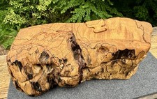 Artist signed rare for sale  White River Junction