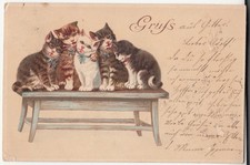 Kleine katzen bank gebraucht kaufen  Rötha