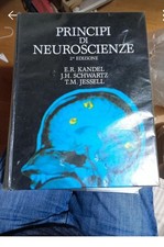 Principi neuroscienze usato  Monfalcone