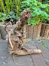 Skulptur wurzel stamm gebraucht kaufen  Werneuchen