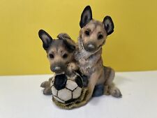 Alsatian puppies match for sale  STROUD