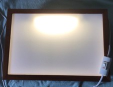 plug trays for sale plug trays for sale  BLAENAU FFESTINIOG