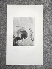 Barn owl nest for sale  STAFFORD