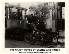 Crazy laurel and d'occasion  Expédié en Belgium