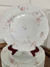 Antique haviland limoges for sale  Auburn