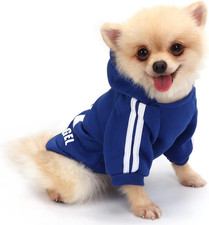 Felpa cani piccola usato Felpa cani piccola usato  Roma