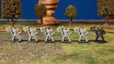 Warhammer fantasy the usato  Roma