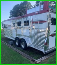 2007 elite horse for sale  Mulberry