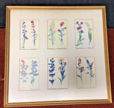 1950s framed wildflower for sale  Pensacola