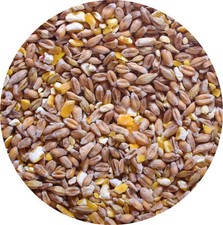 Mixed corn 450g for sale  LEIGHTON BUZZARD