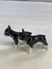 Twin boston terrier d'occasion  Expédié en Belgium