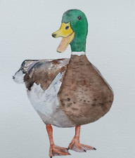 Canard aquarelle a5 d'occasion  Montbéliard