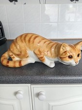 Cata large cat for sale  STEVENAGE