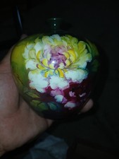 Royal bonn bud for sale  Peru
