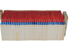 Thomas brezina knickerbocker gebraucht kaufen  Rosbach v. d. Höhe