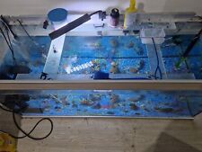5ft fish tank for sale  CARDIFF