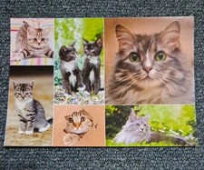 Mehrbild tier postkarte gebraucht kaufen  Hamburg