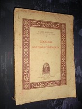 Enriques zoologia anatomia usato  Catania
