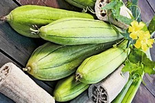 Luffa schwamm samen gebraucht kaufen  Recklinghausen