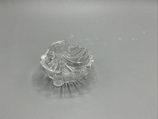 Tiny scallop sea for sale  Phoenix