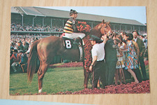 Pferd postkarte horse gebraucht kaufen  Berlin