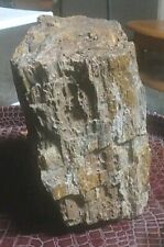 Petrified wood stump for sale  Redding