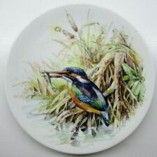 Vintage nbj staffordshire for sale  MINEHEAD